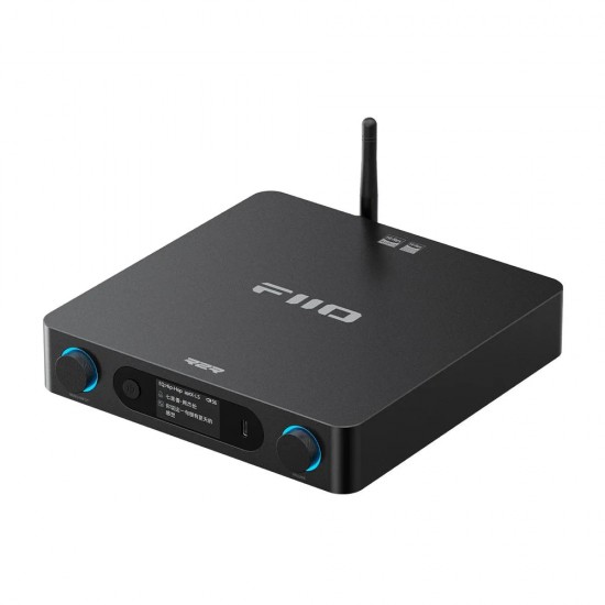 Fiio BR15 Bluetooth adapteris su R2R DAC