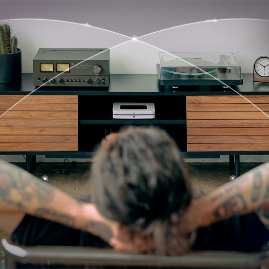 Bluesound Room Calibration mikrofonas Bluesound Room Calibration mikrofonas