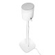 Bluesound PULSE M & FLEX Adjustable Stand stovai