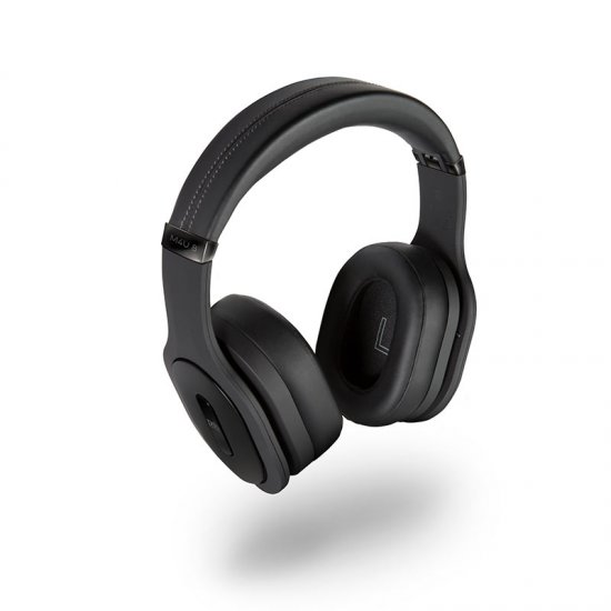 noise cancelling ausines