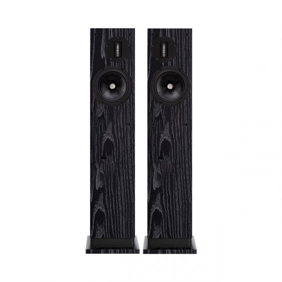 ProAc Response D20R garso kolonėlės ProAc Response D20R garso kolonėlės