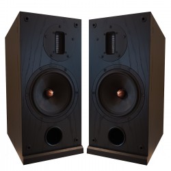 ProAc Response D2 Ribbon garso kolonėlės