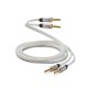 QED Performance speaker cable kolonėlių kabelis