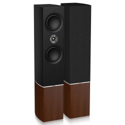 Tannoy Platinum F6 garso kolonėlės