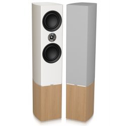 Tannoy Platinum F6 garso kolonėlės