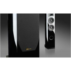 Davis Acoustics Stentaure LE garso kolonėlės