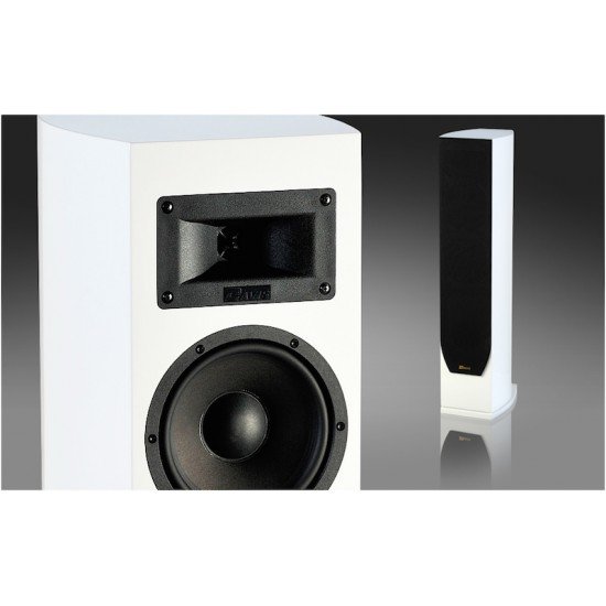 Davis Acoustics Stentaure LE garso kolonėlės Davis Acoustics Stentaure LE garso kolonėlės