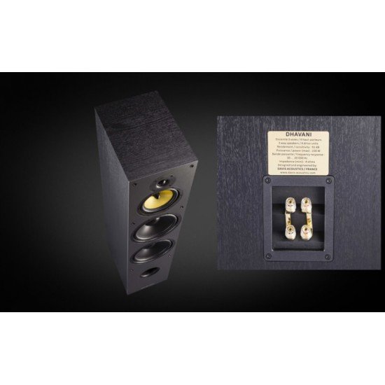 Davis Acoustics Dhavani garso kolonėlės Davis Acoustics Dhavani garso kolonėlės