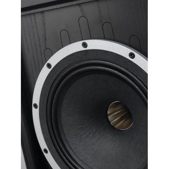 Tannoy Prestige Kensington GR garso kolonėlės 