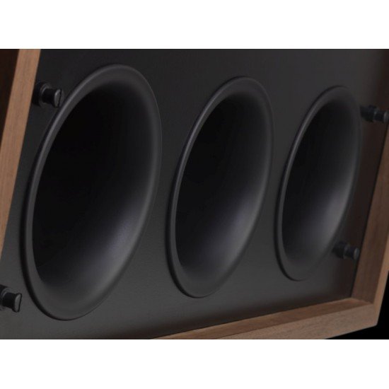 Tannoy Legacy Arden garso kolonėlės 