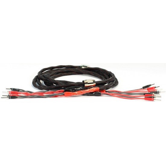 Black Rhodium Duet DCT++ CS BiWire 2x3m kolonėlių kabelis 