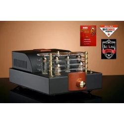 Pure Sound A10 integruotas lempinis stiprintuvas