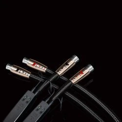 AudioQuest Pegasus tarpblokinis kabelis XLR