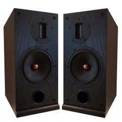 ProAc Response D2 Ribbon garso kolonėlės