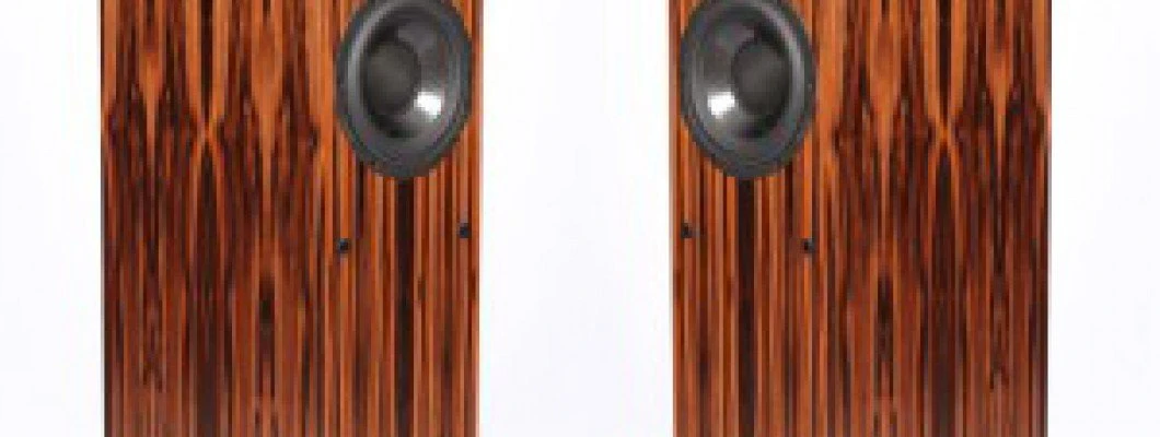 Naujiena - ProAc Response D40R garso kolonėlės Naujiena - ProAc Response D40R garso kolonėlės